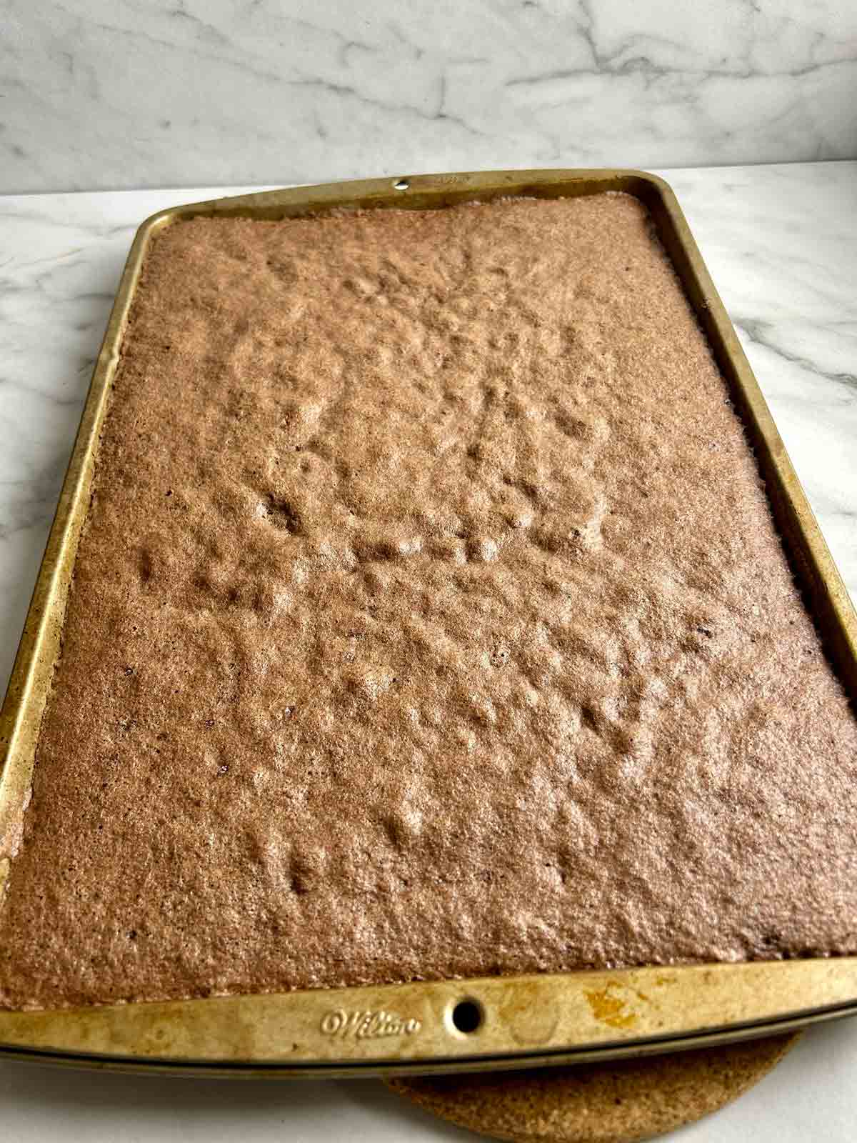 baked cake sheet resting on pan.