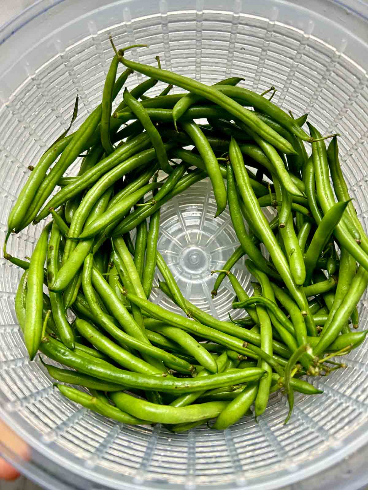 green beans spun dry in a salad spinner.