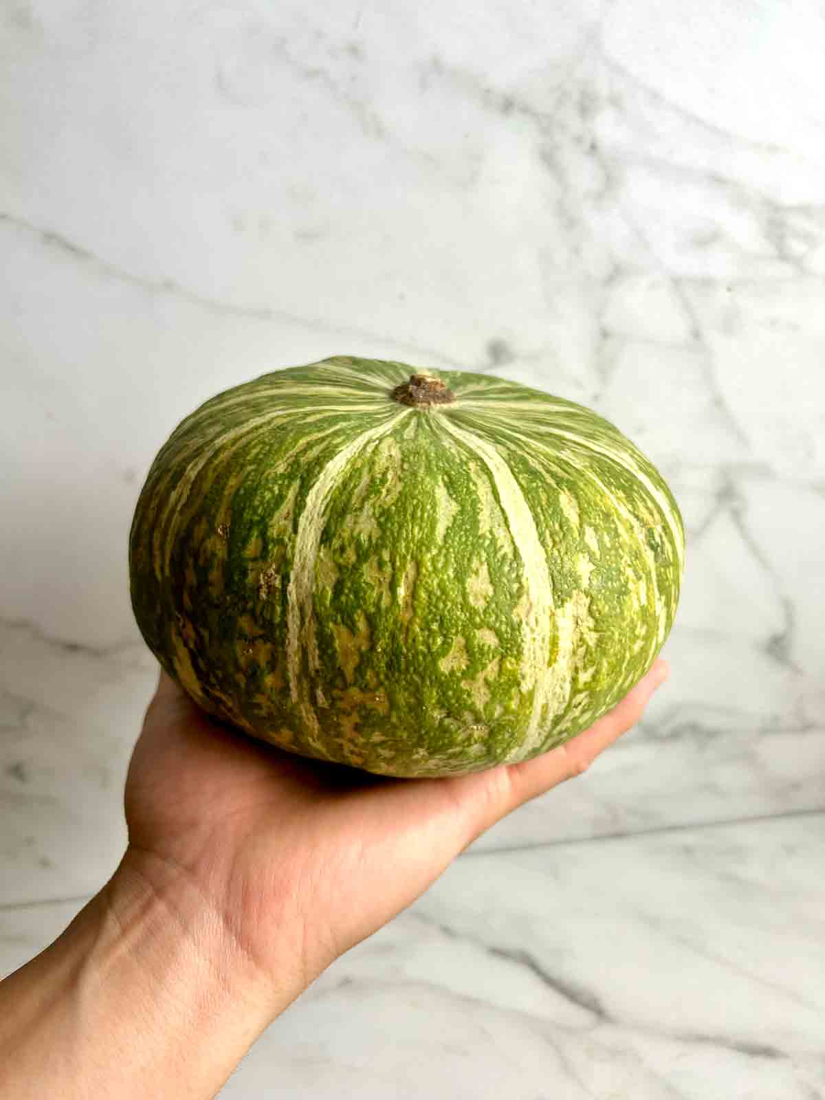 hand holding Kabocha pumpkin.