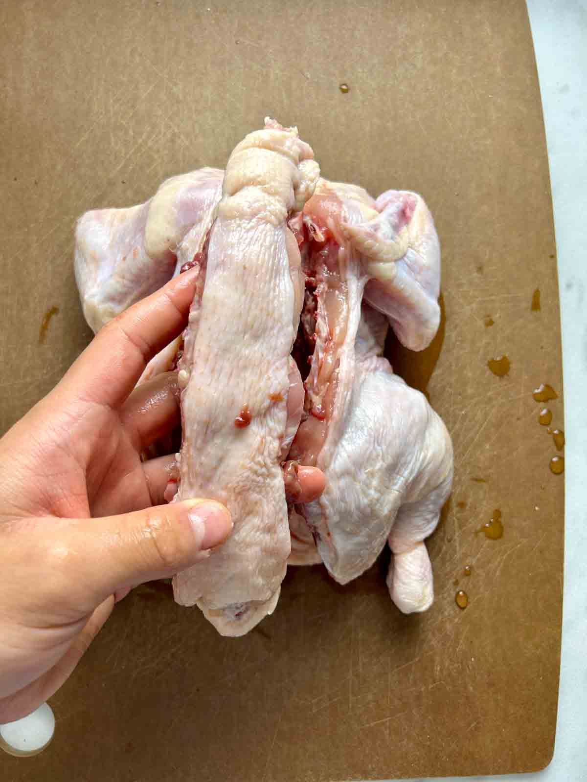 showing back bone cut out from chicken.