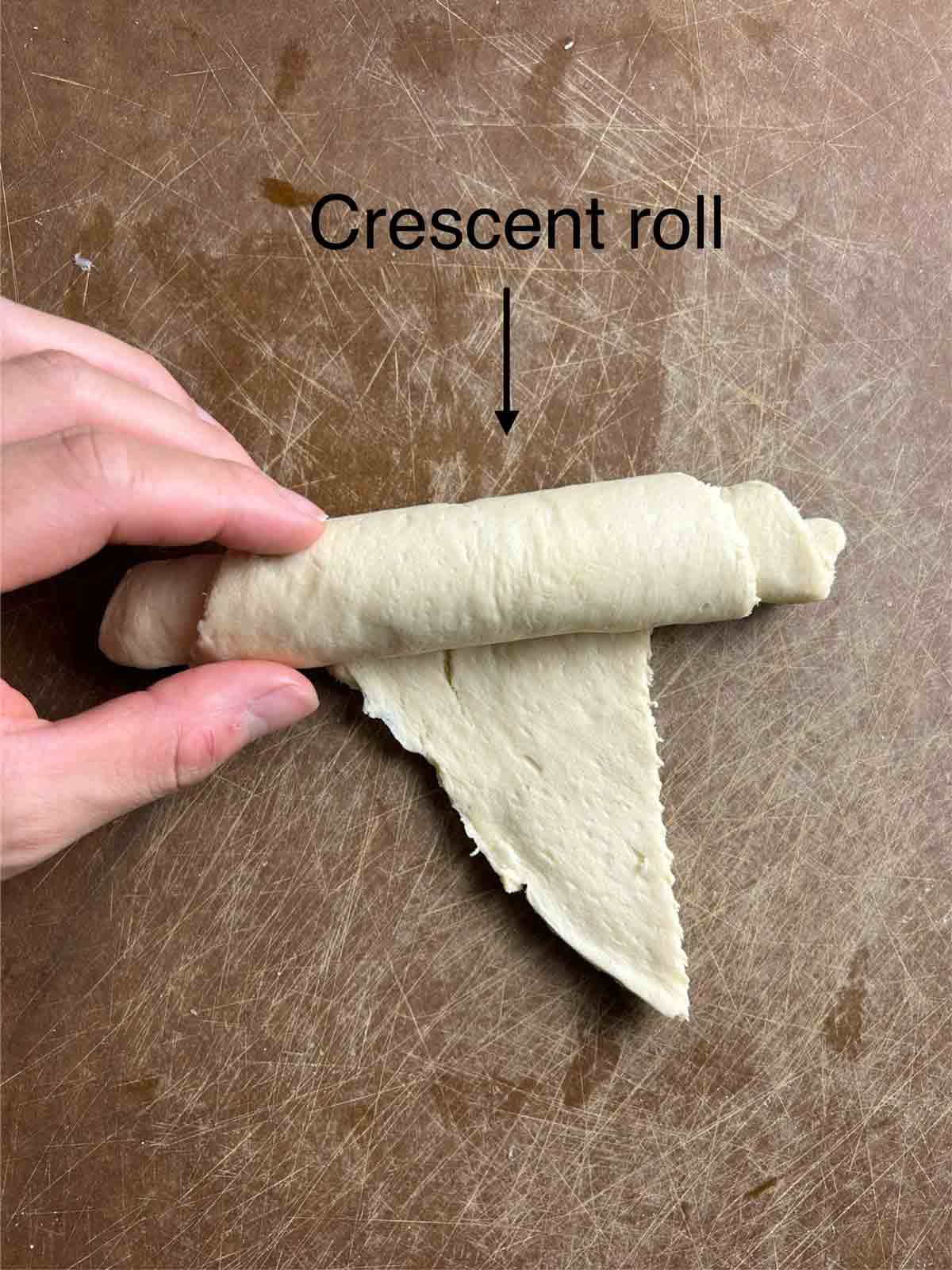 crescent roll being rolled into croissant shape.