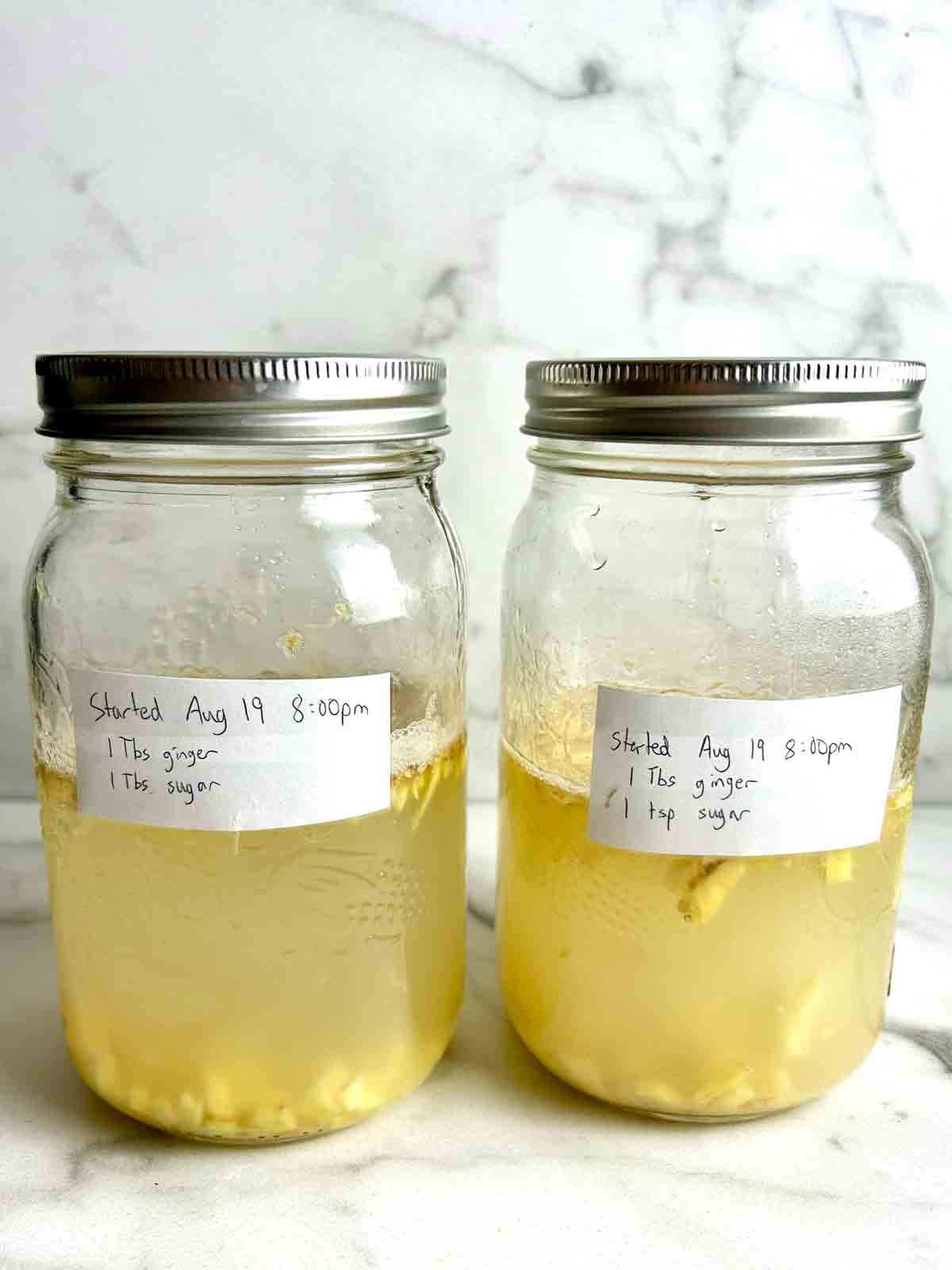 two jars of ginger bug.