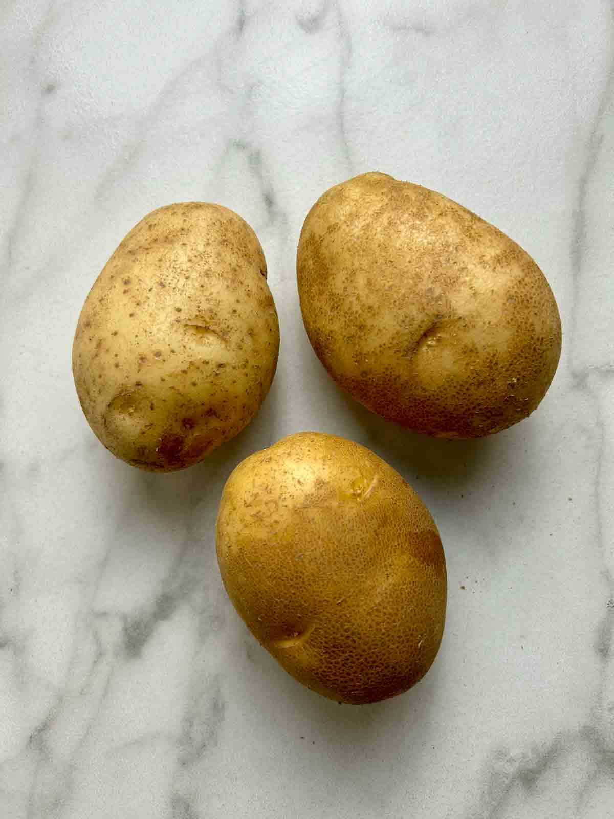 Russet potatoes on counter.