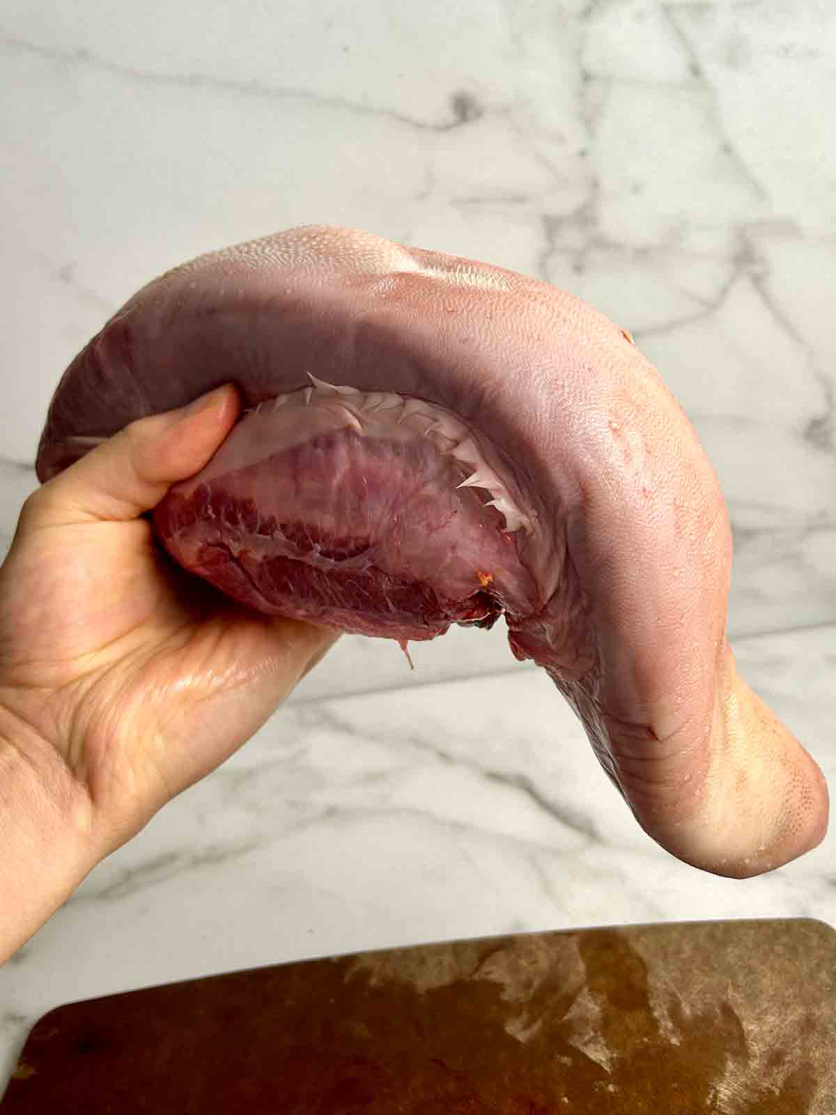 hand holding raw beef tongue