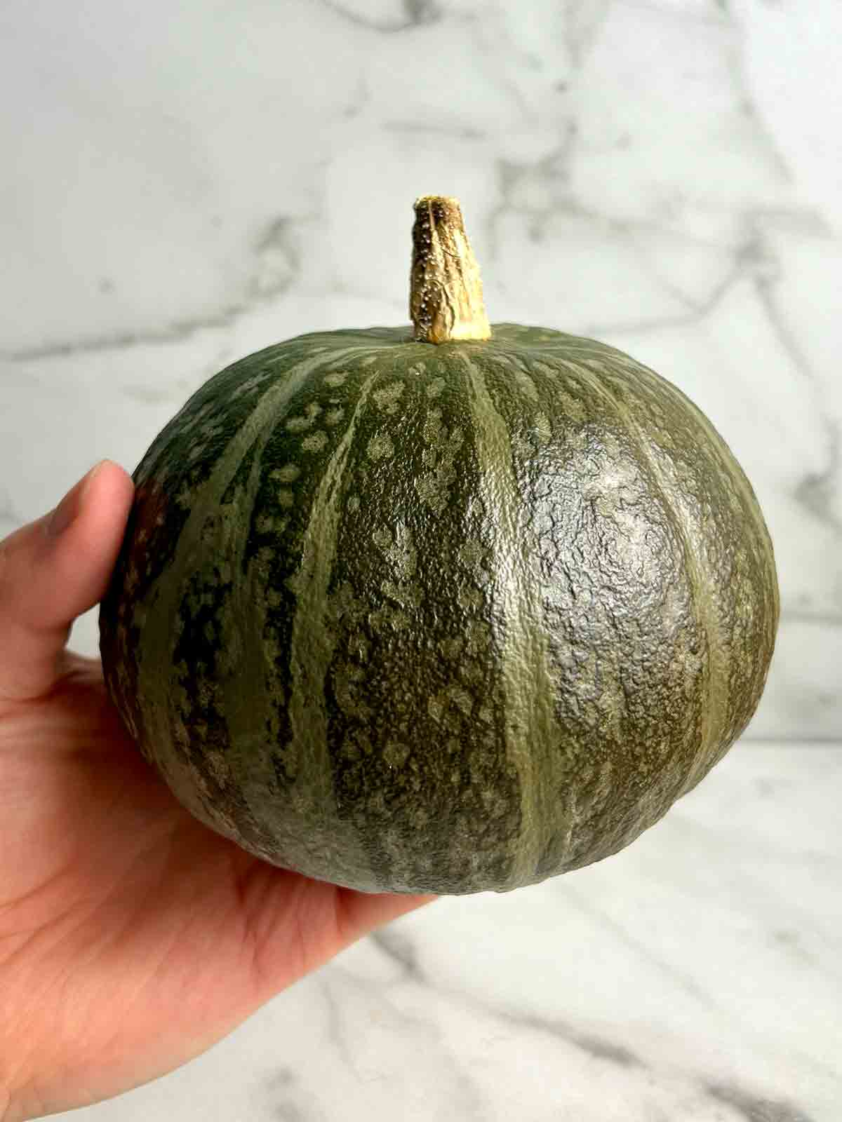 hand holding kabocha pumpkin.