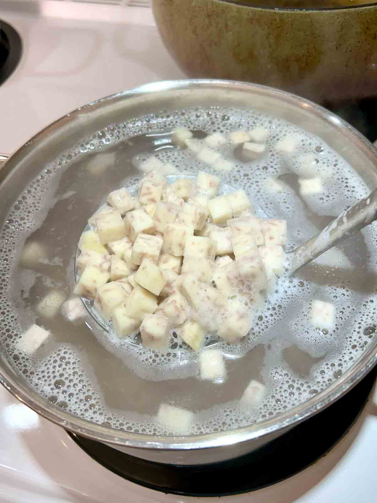 lifting cooked taro root cubes from boiling water.