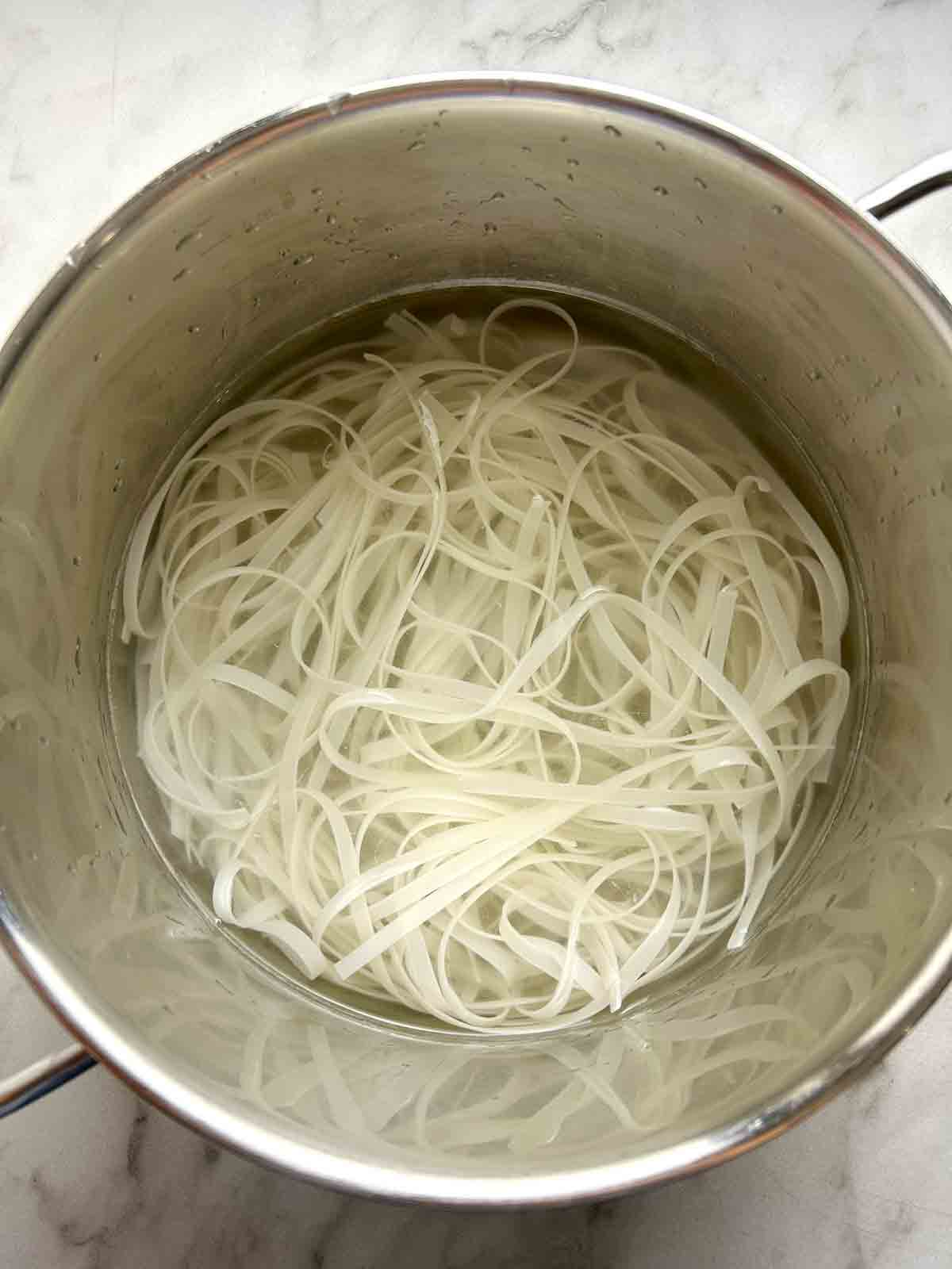 rice noodles softening in pot of cold water.