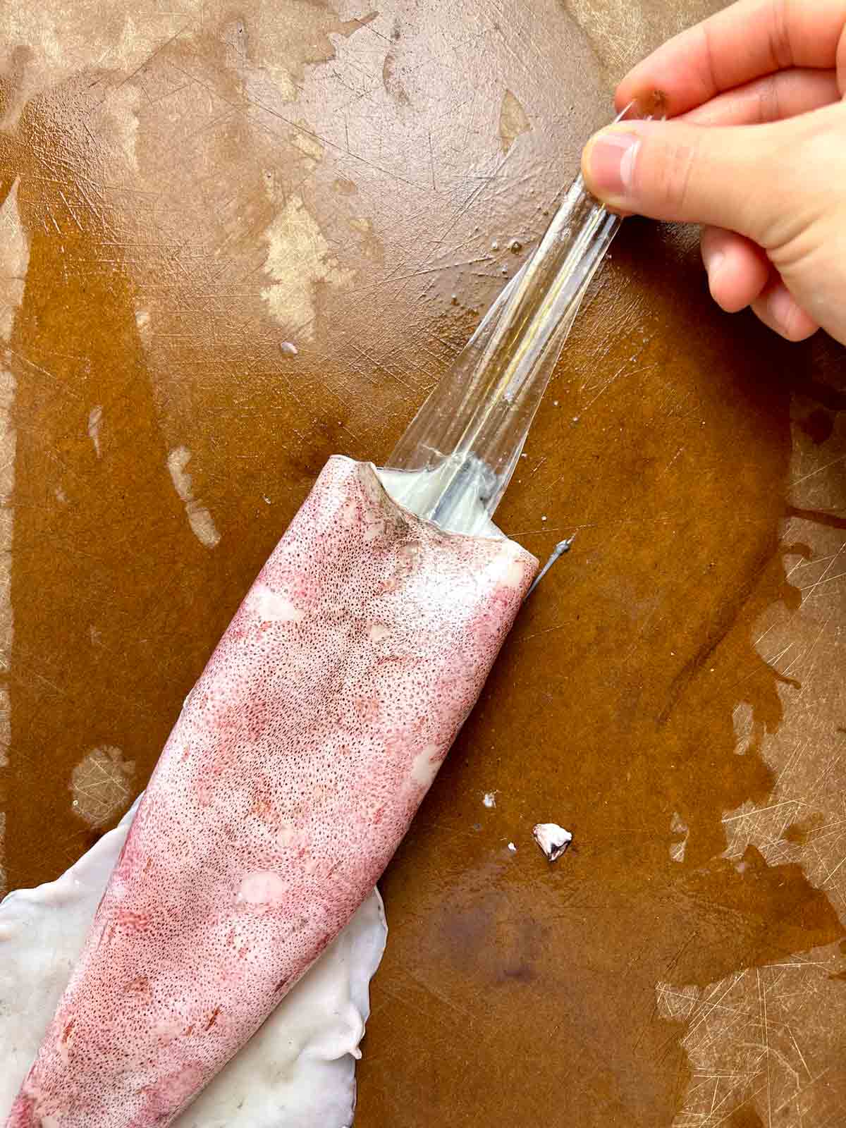 beak being pulled out of squid head.