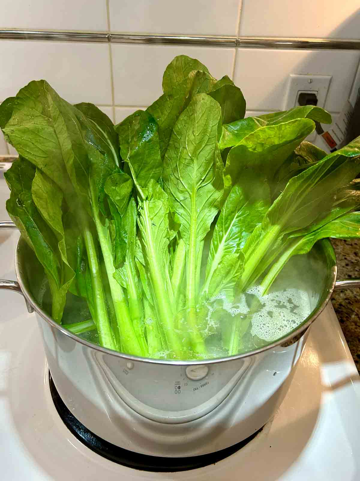 yu choy standing up right in pot of water; stems submerged, but leaves sticking out.