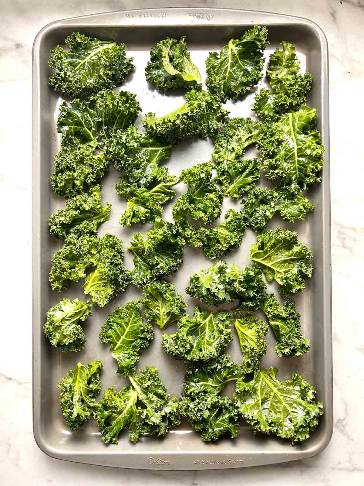 pieces of kale on baking sheet.