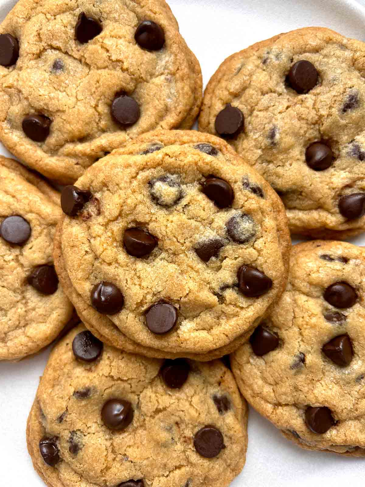 close up of chocolate chip cookies.