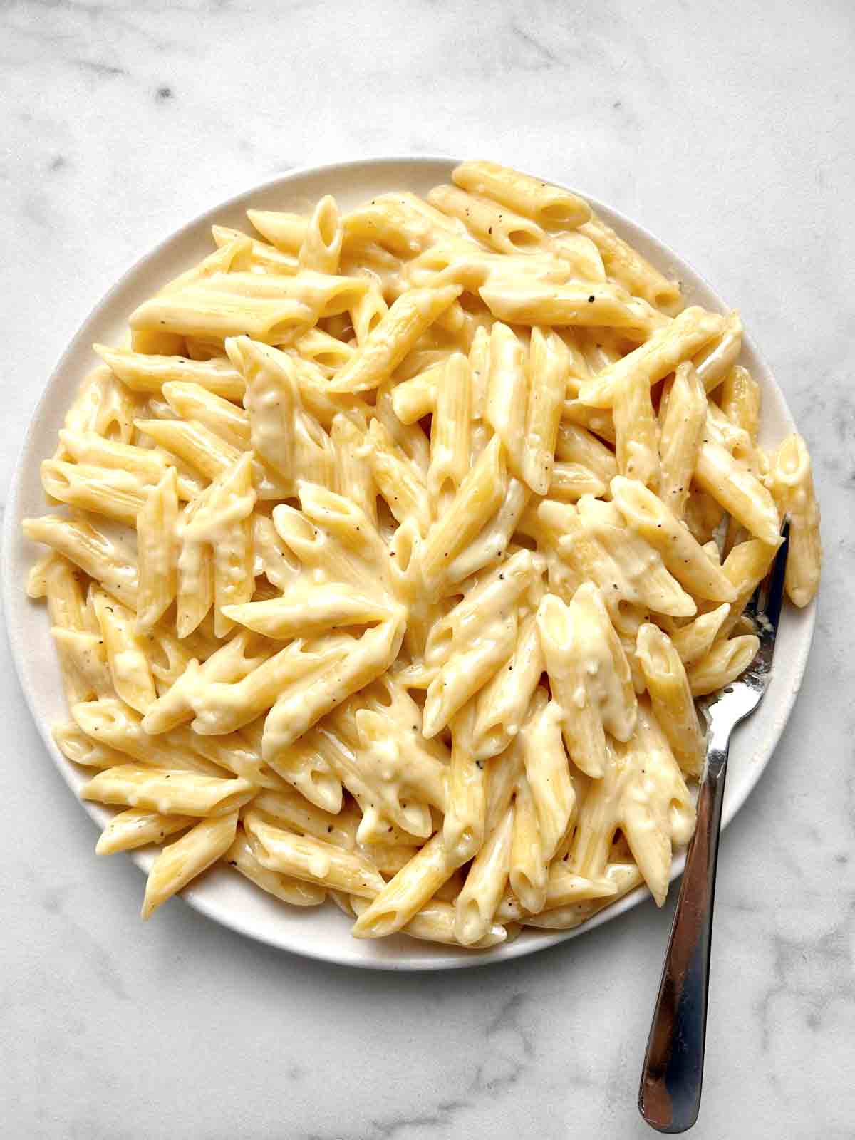 plate of creamy garlic pasta.