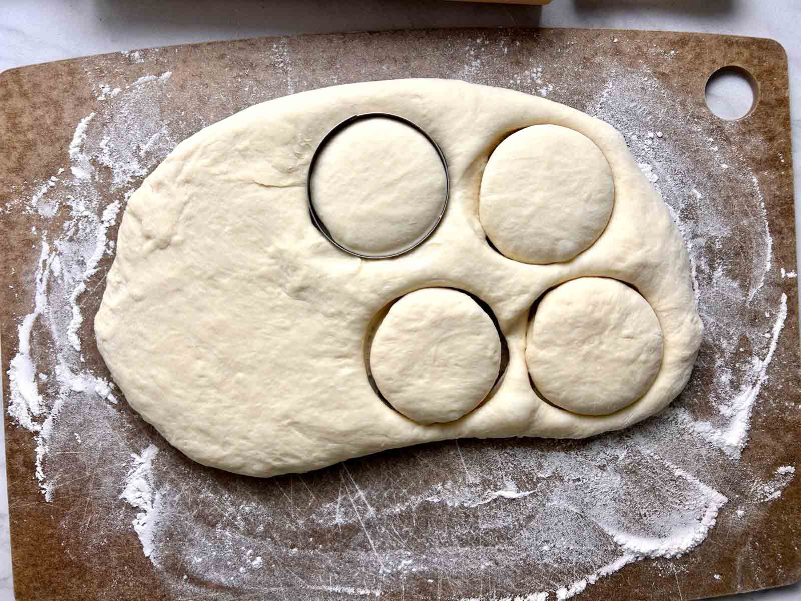 rolled out dough with circles cut into it.