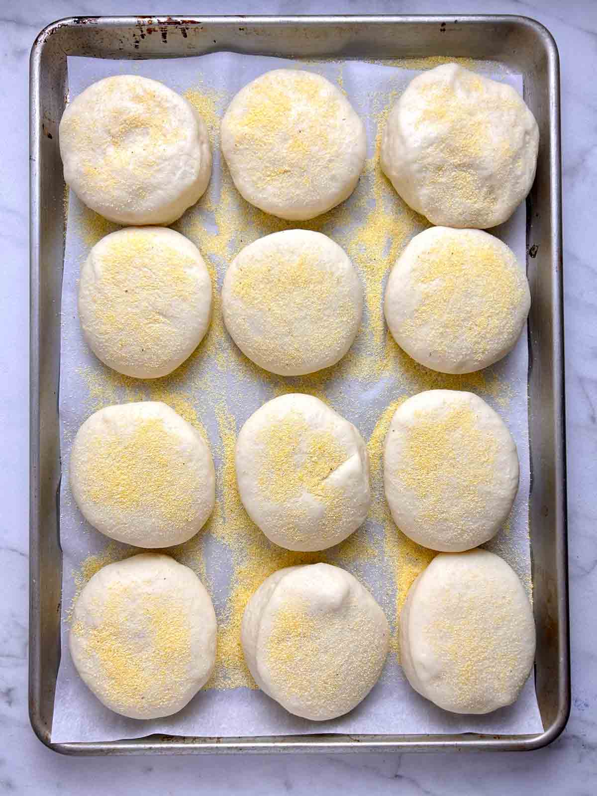 English muffins after second rise; noticeably puffed.