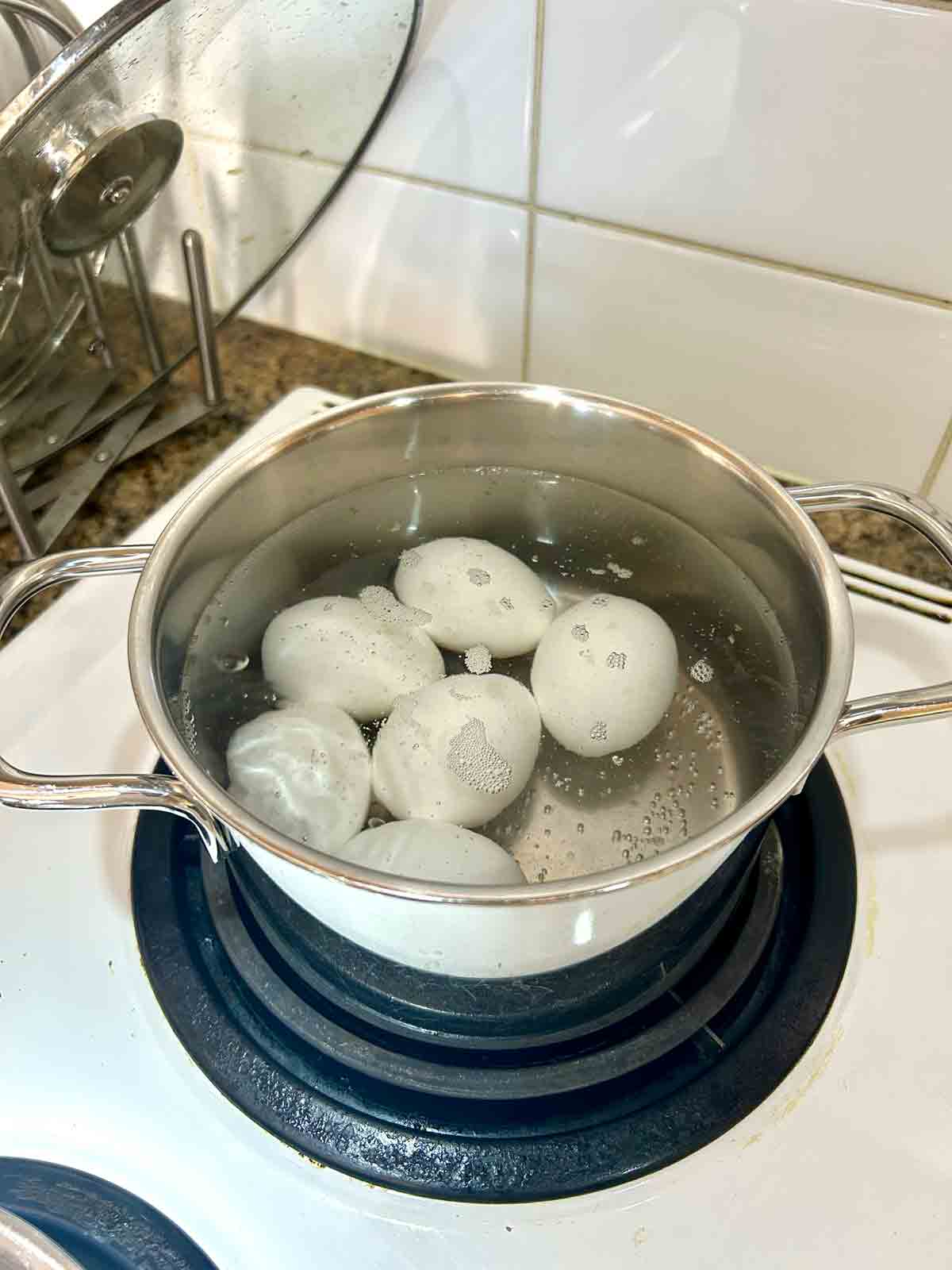 eggs boiling in small pot.